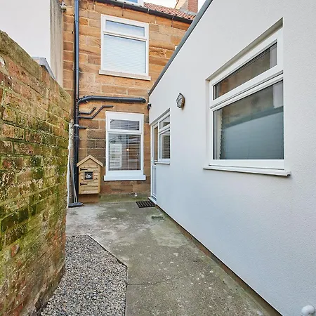 Host & - Penny Farthing * 휫비